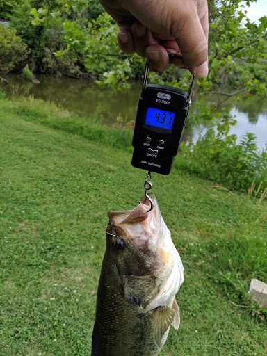Florinda's Bait & Tackle - Thumbnail