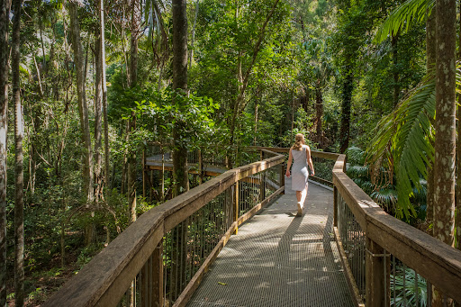 Sea Acres Rainforest Centre - Thumbnail