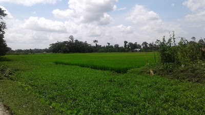 Photos of চান্দলা শাহী মসজিদ