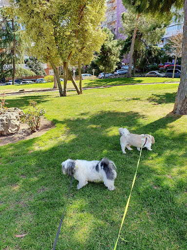 Lisboa Park - Visual