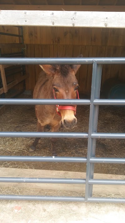 Putnam County Animal Shelter