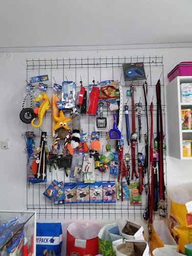 Opinii despre FreidaVet în Iași - Veterinar