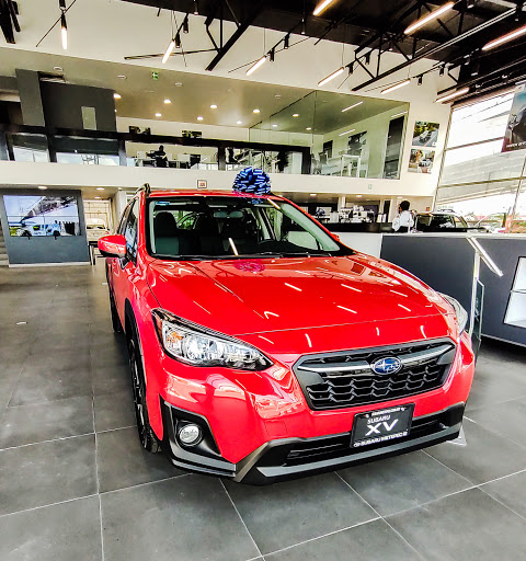 Subaru Metepec - Thumbnail