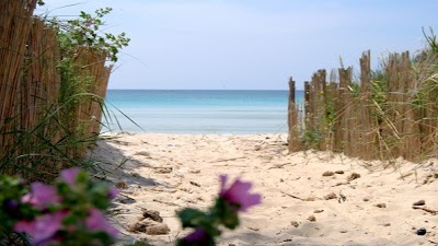 Photos of Masseria Corda di Lana Hotel & Resort