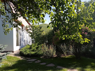 Photos of RoyalResort