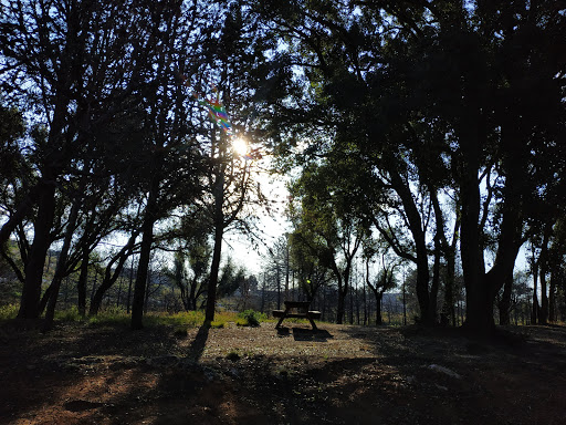 Paraje Natural El Surar - Thumbnail