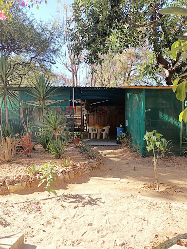 site_photo4