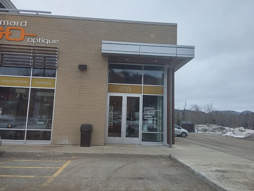 Visique - Ste-Adèle - Visual