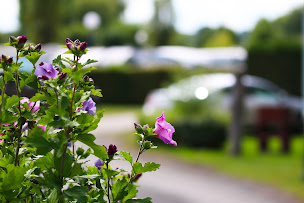 Photo n°7 de La Vallée de Deauville à Deauville-Saint Arnoult (Terrain pour camping-cars)