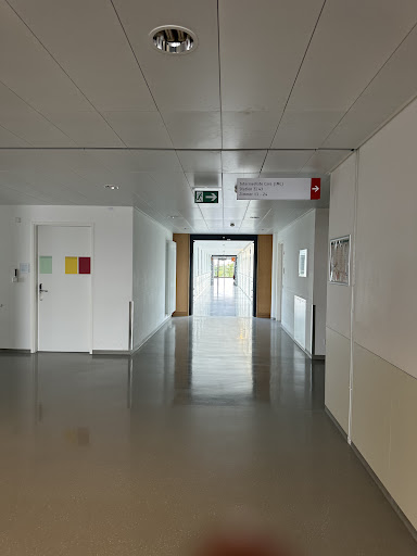 University Hospital Düsseldorf
