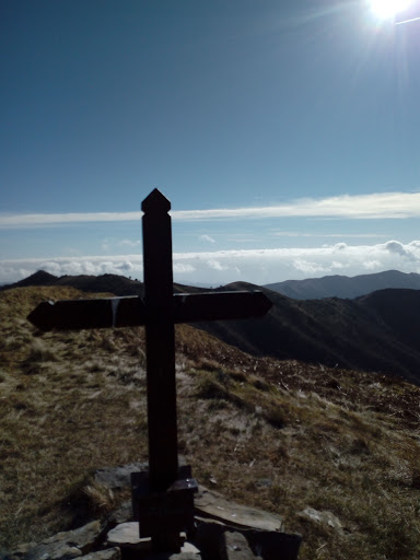 Argentina Arma - Visual