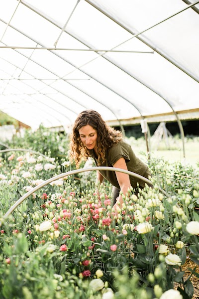 Tanglebloom | floral design + flower farm