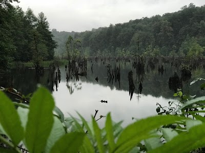 Photos of Ghost Lake