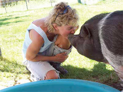 Pigs4Ever - Visual