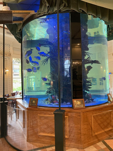 Aquatic Systems Consultants - Thumbnail