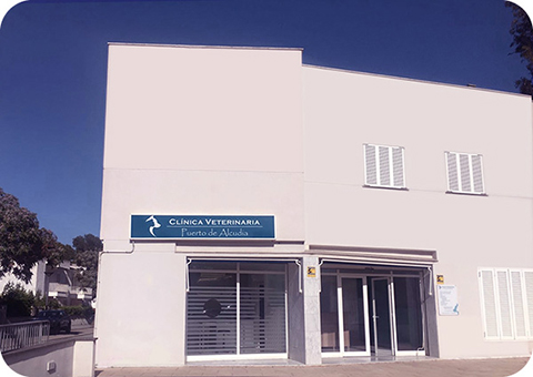 Clínica Veterinaria Puerto de Alcúdia