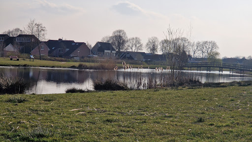 Recreatie visvijver ‘t Nilantsven