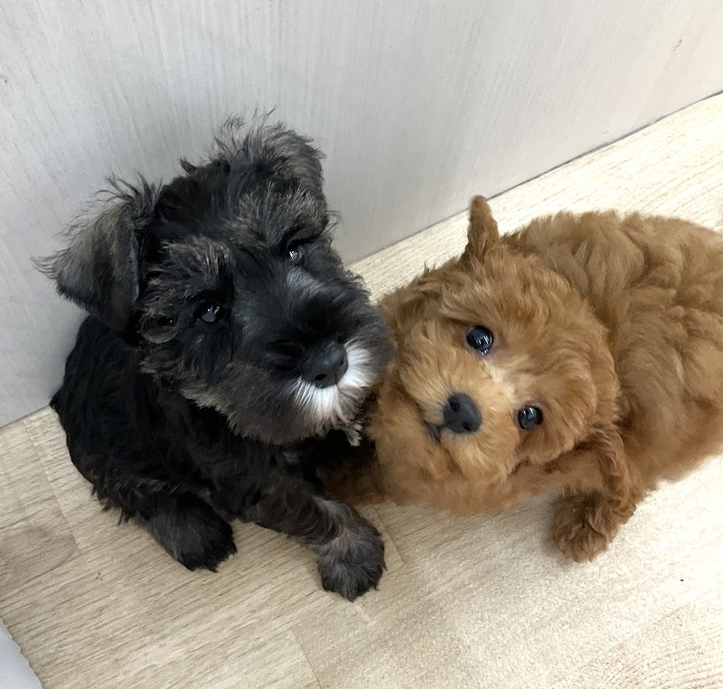 ペットプラス 福岡伊都店