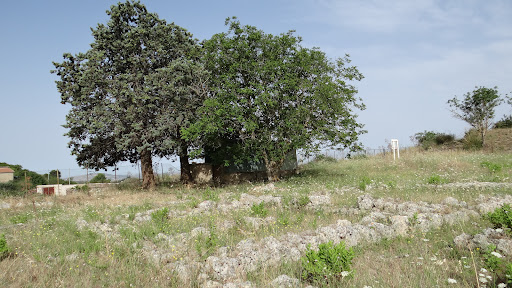 Sito archeologico di Vassallaggi Gallery - Italy