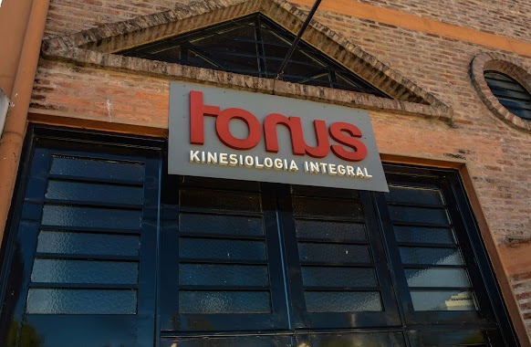 Tonus Kinesiología Integral, Author: Andres Enriquez