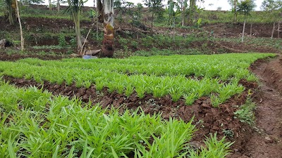 Photos of Taman KEHATI (Keanekaragaman Hayati)
