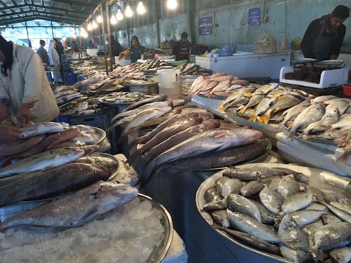 Qatif Fish Market, Author: Nasser