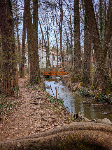 Berglwald - Visual
