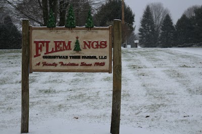 Photos of Fleming's Christmas Tree Farm