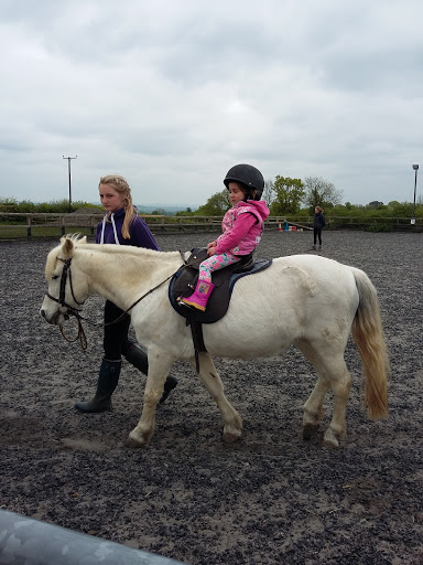 Pevlings Farm Riding & Livery Stables