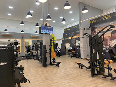 Fit Life Academia