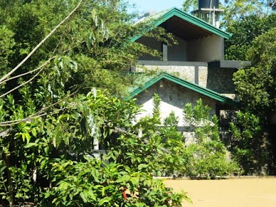 Photos of Birds Paradise Hotel