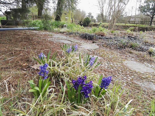 Les jardins des Martels