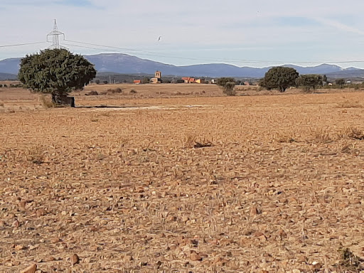Camino Natural Via de la Plata - Thumbnail