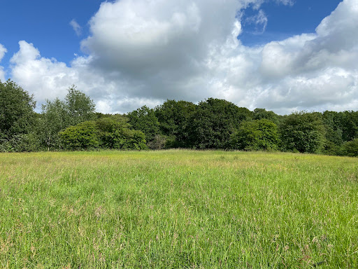 NSG Twedter Feld