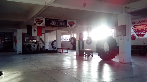 Crossfit Viper - Thumbnail