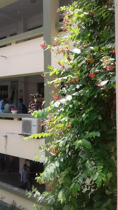 Photos of BBA Faculty