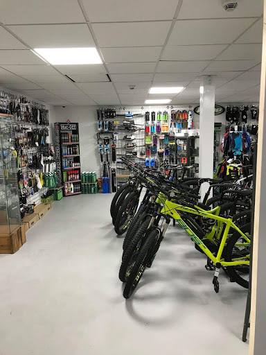 EC Cycles - Visual