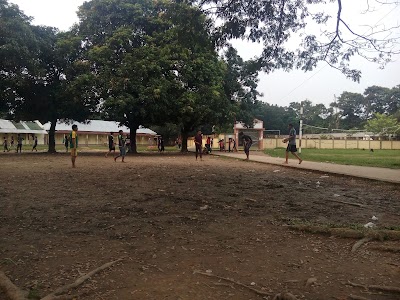 Photos of Radio Colony Model School