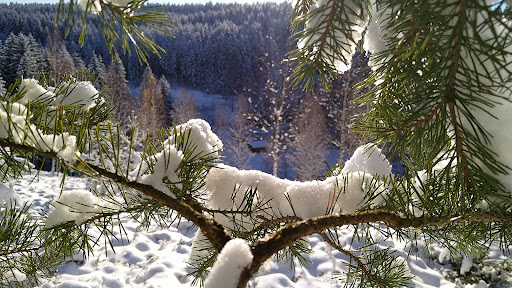 Rißhütte - Thumbnail
