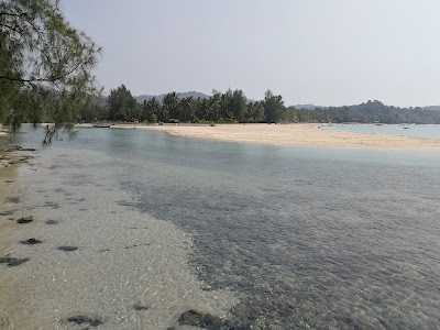 Photos of Golden Coconut Garden