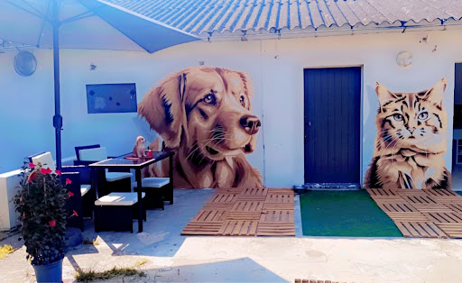 Photo de Dogs and Cats Lodges - Pension canine et féline à Saint-Épain (37800)