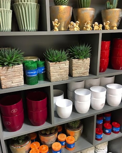 Photos of Orhidaalia Flower Shop - Pirita Center