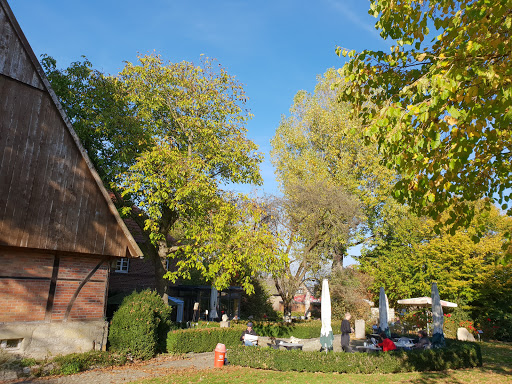 Cafe im Sandsteinmuseum - Thumbnail