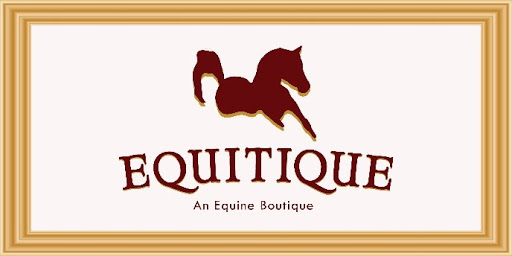 Equitique - Visual