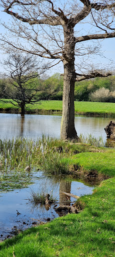 First Pond - Visual