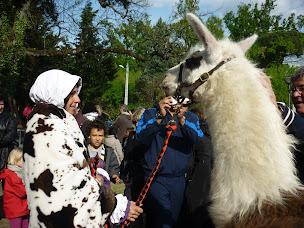 Photo n°20 de Asso Califourchon à Cézac (Ferme pédagogique)