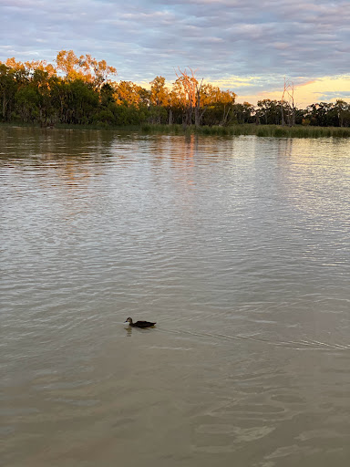 BIG4 Renmark Riverfront Holiday Park - Thumbnail