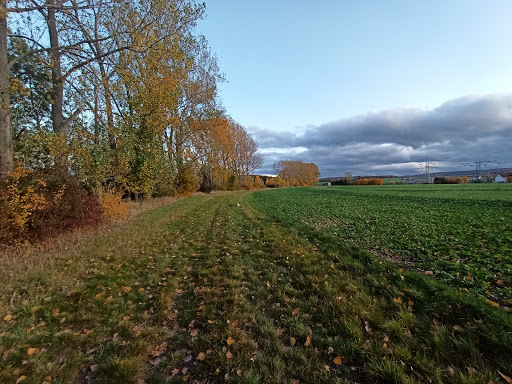 Pilgerweg - Thumbnail