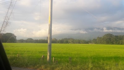 Photos of Paradise Breezes