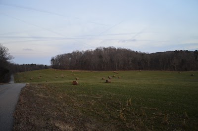 Bone Cave State Natural Area